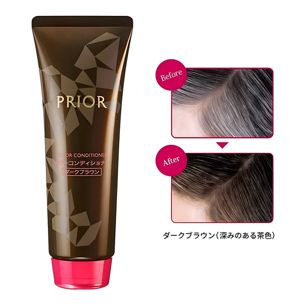 SHISEIDO PRIOR Color Conditioner Dark Brown