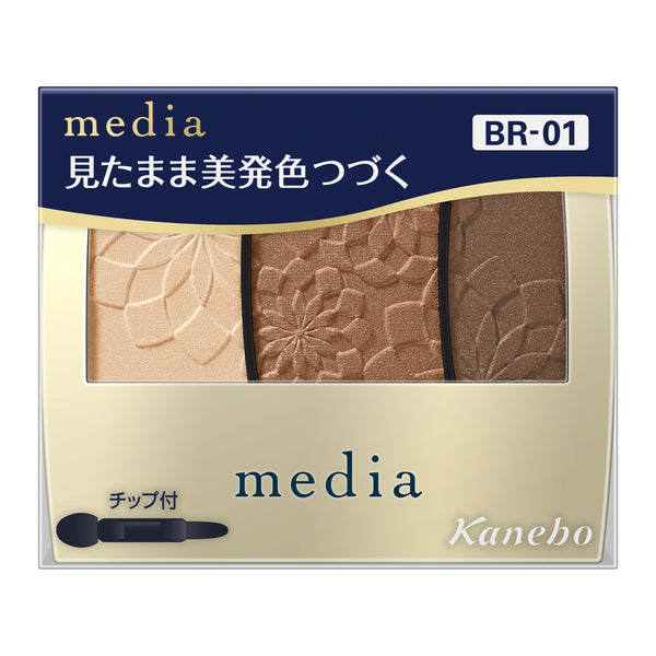 media Gradation Color Eyeshadow N BR-01