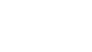 NAIA logo