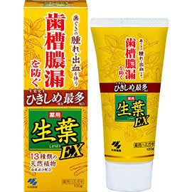 Kobayashi Pharmaceutical Shoyo Toothpaste EX