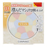 03 Plumeria Wreath Refill