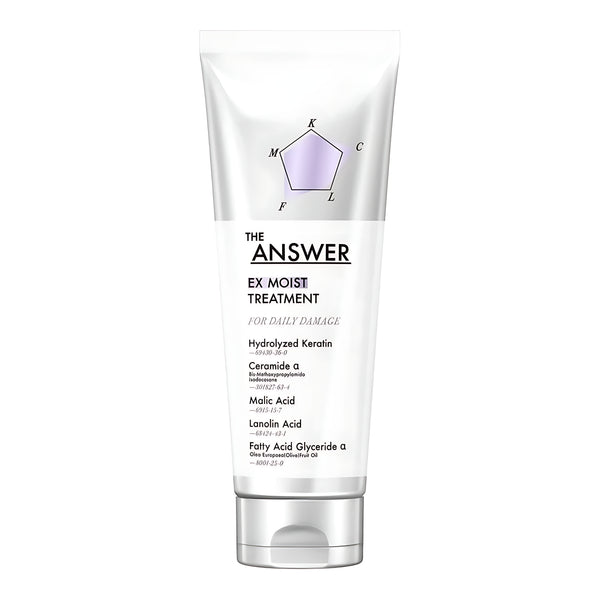Kao The Answer EX Moist Treatment For Daily Damage