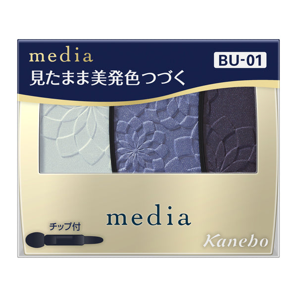 media Gradation Color Eyeshadow N BU-01
