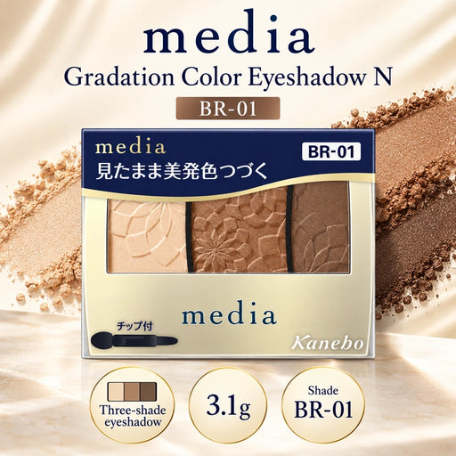 media Gradation Color Eyeshadow N BR-01 — Product details