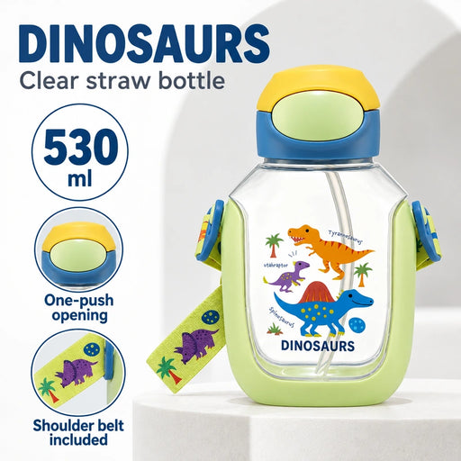 Skater One-Push Straw Bottle Clear Dinosaur Picture 530ml — Product details