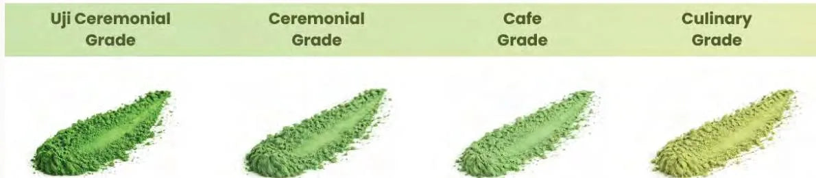 Matcha grading scale from Uji Ceremonial Grade to Ceremonial Grade to Cafe Grade to Culinary Grade, shown as powder color swatches