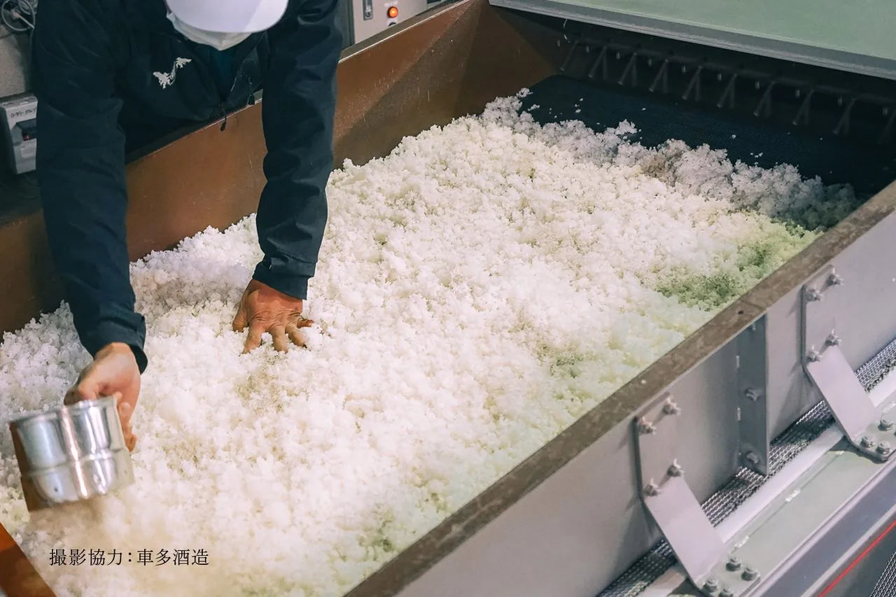 Sake brewing in Ishikawa, Japan