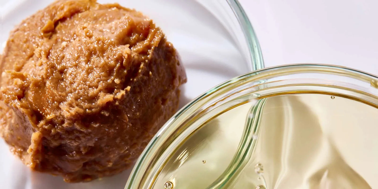 Sake lees paste and extract from Noto sake brewing